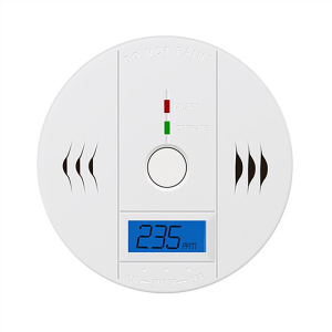 Carbon Monoxide Detector Alarm